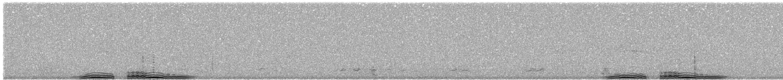 King Eider - ML628743710