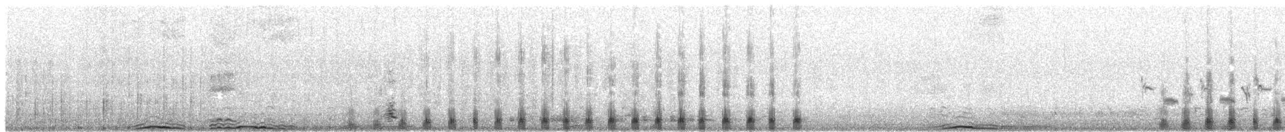 King Eider - ML628743733