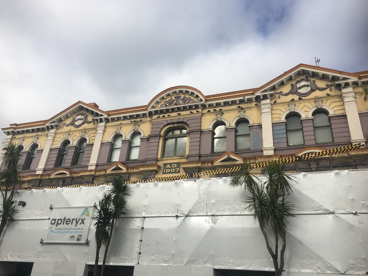 Rock Pigeon (Feral Pigeon) - ML628748802