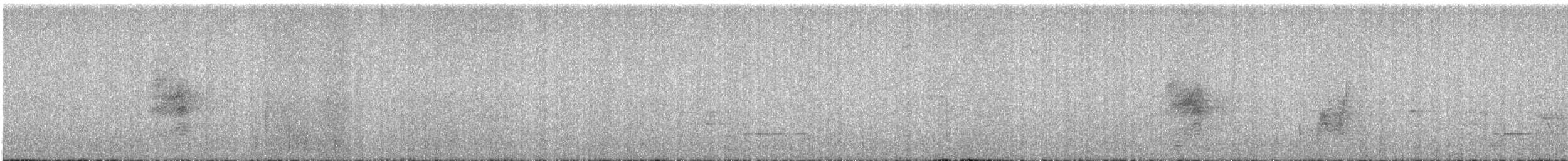 ビロードヒラハシ - ML628757558