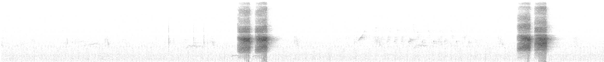 Racket-tailed Treepie - ML628759593