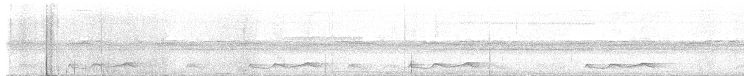 Belizenachtschwalbe - ML628762398