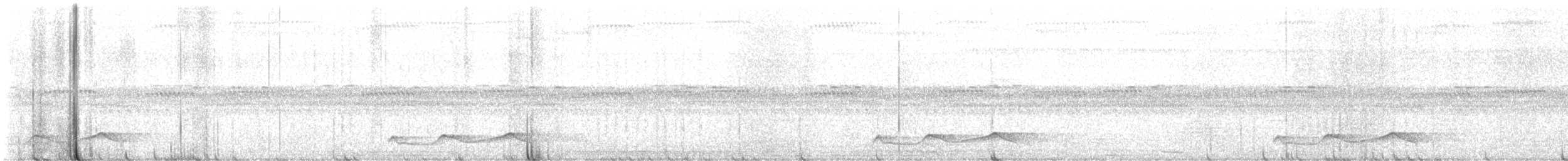 Belizenachtschwalbe - ML628763286