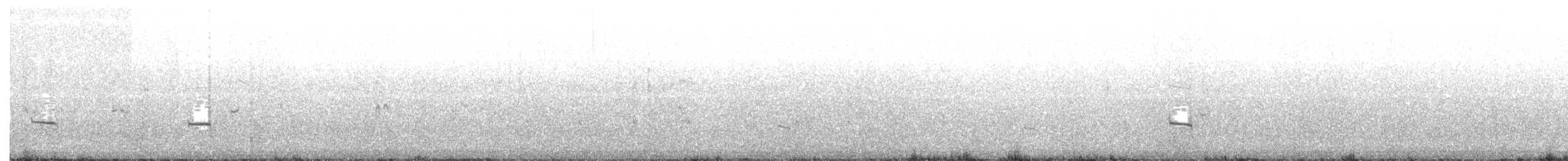 Pluvier siffleur - ML62876821