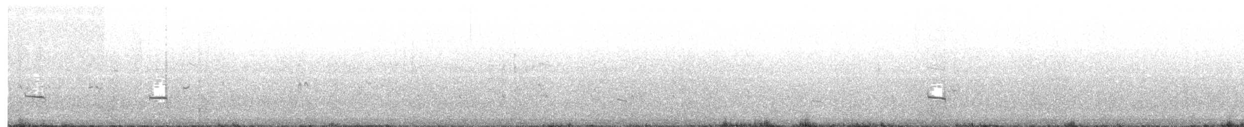Pluvier siffleur - ML62876821