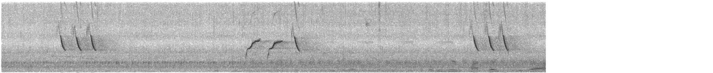 African Pied Wagtail - ML628776406