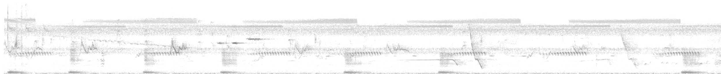 chřástal australasijský - ML628779346