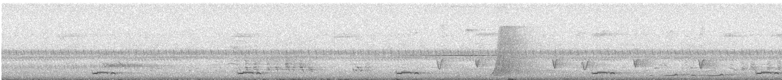 Sahul Cicadabird - ML628786360