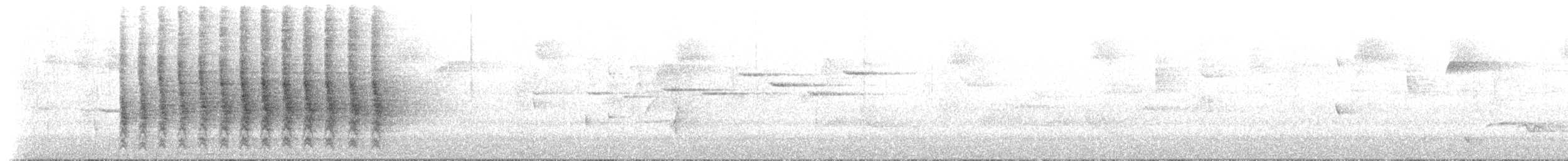 Rufous Scrub-bird - ML628789220
