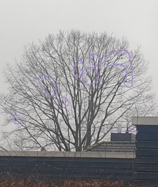 Ойн тагтаа - ML628804718