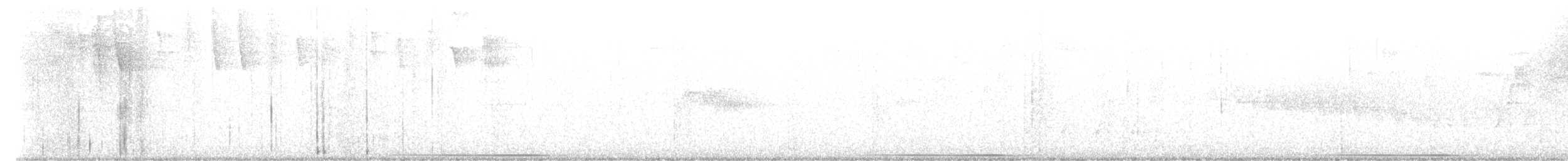 Colombe à joues blanches - ML628810095