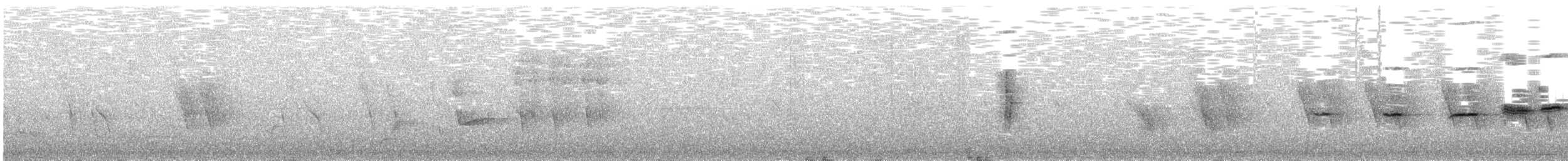 Gray-and-gold Warbler - ML628821397