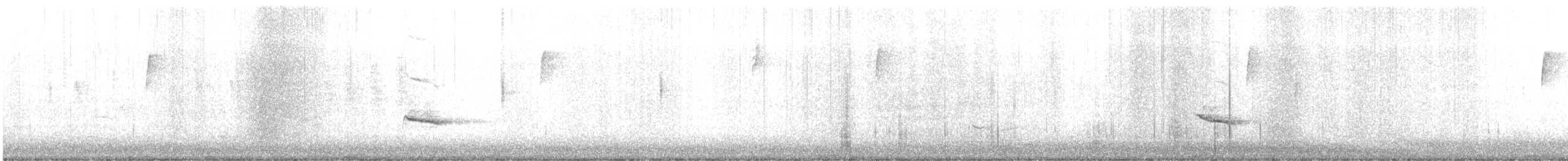 Hermit Thrush - ML628822075