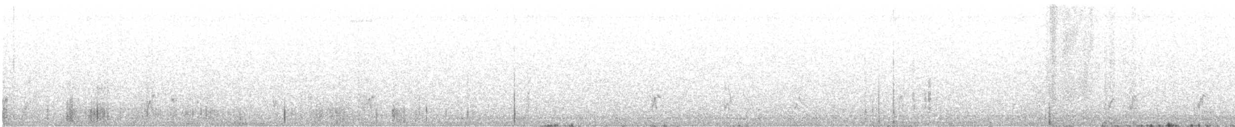 Schwarzstirn-Schneegimpel - ML628827517