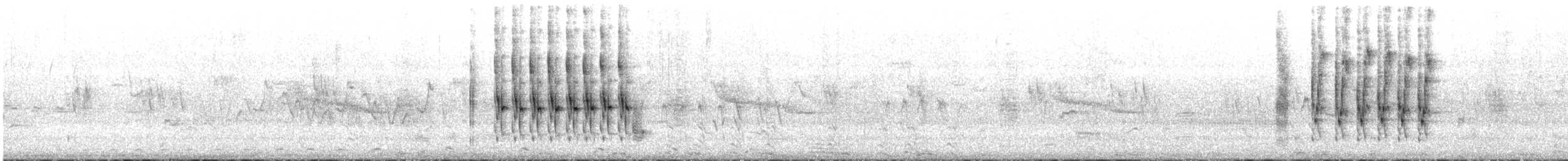 Marsh Wren (palustris Group) - ML62883921