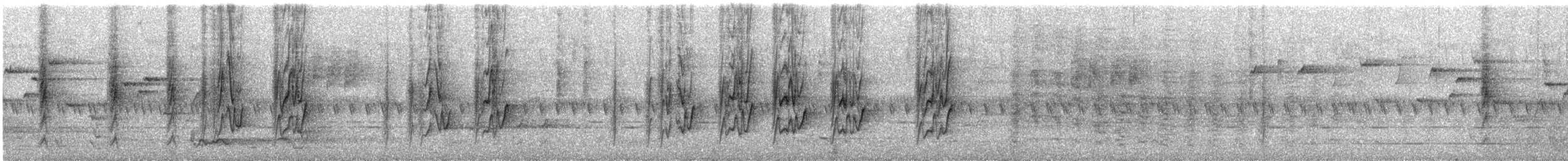 White-eared Monarch - ML628847948