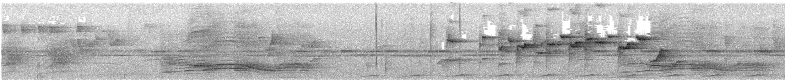 Huon Catbird - ML628870207