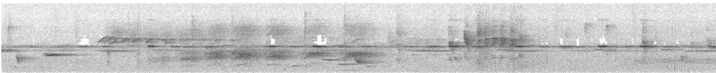 Huon Catbird - ML628870208