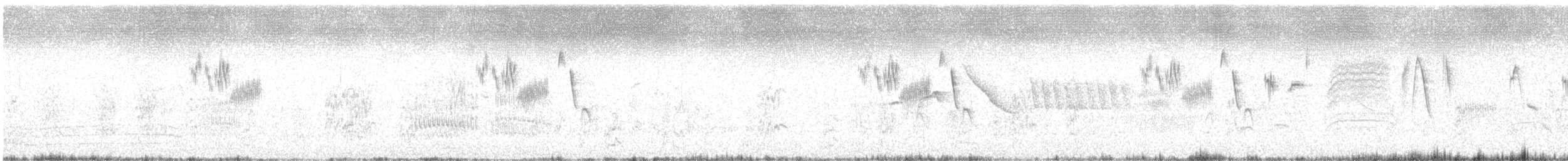 Hellmayr's Pipit - ML628872204