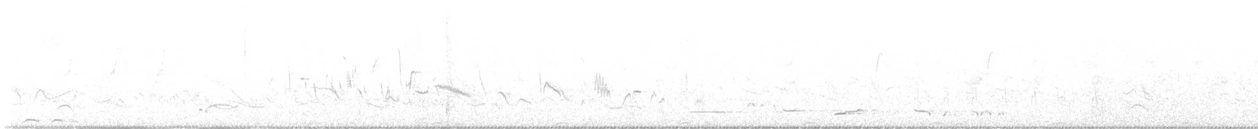 クビワシャコ - ML628874137