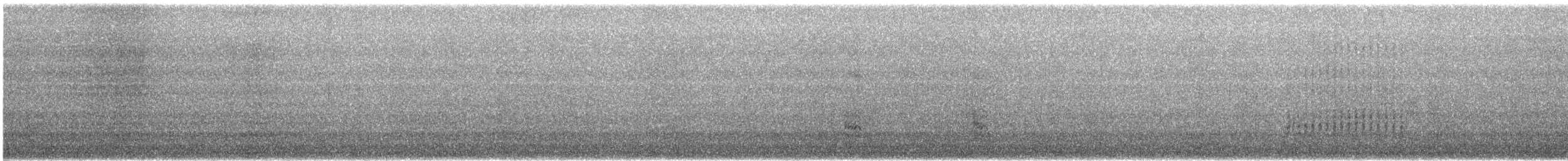 ヒメクロアジサシ（melanogenys） - ML628882176