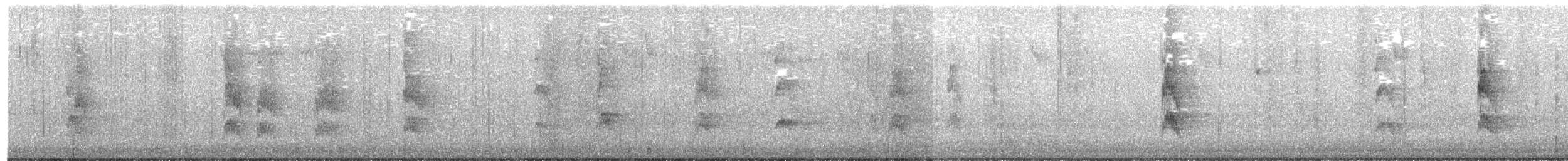 Red-cockaded Woodpecker - ML628888328