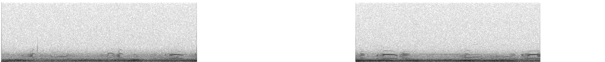 Bernache du Canada - ML628889250