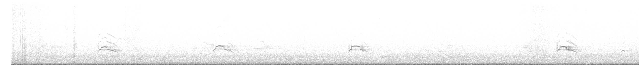 Marbled Murrelet - ML628895176