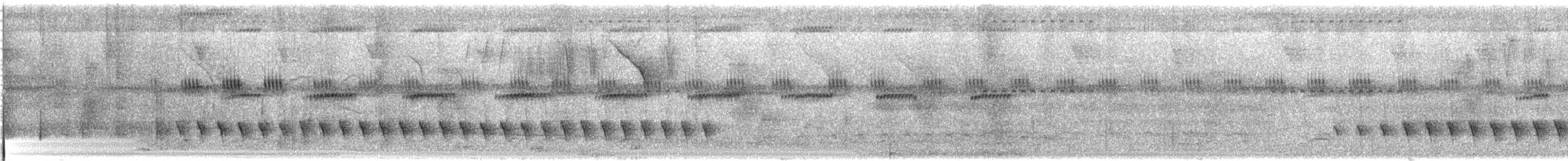 ズキンヒメアリサザイ - ML628903893