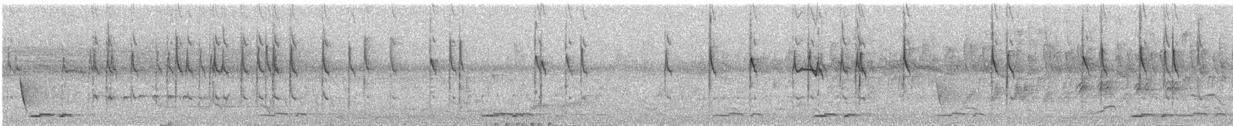 Varied Sittella - ML628905661