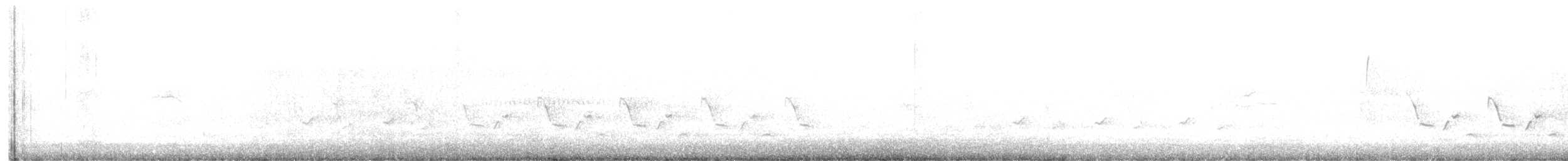 Carolina Wren - ML628906938