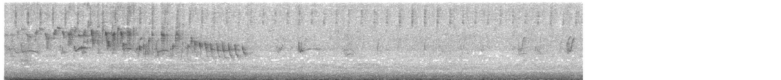 Splendid Fairywren - ML628908952