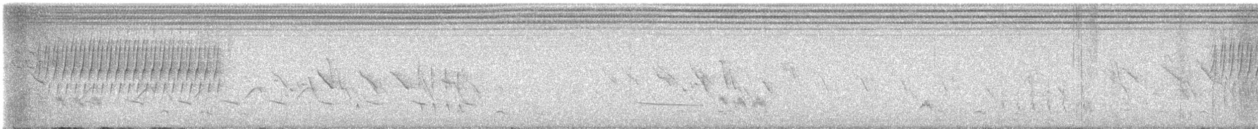 Tinkling Cisticola - ML628914502