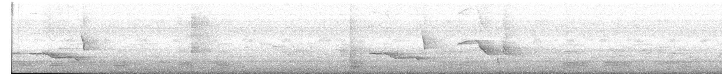 Oriental Magpie-Robin (Oriental) - ML628914792