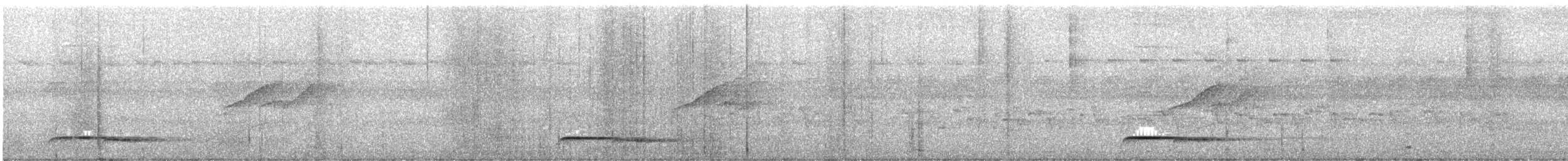 White-crowned Cuckoo - ML628916466