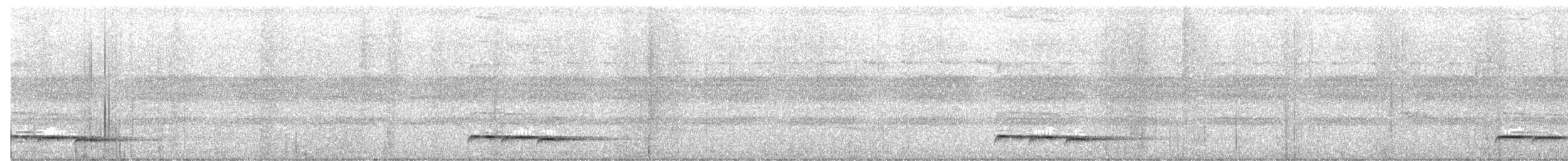 White-crowned Cuckoo - ML628916467