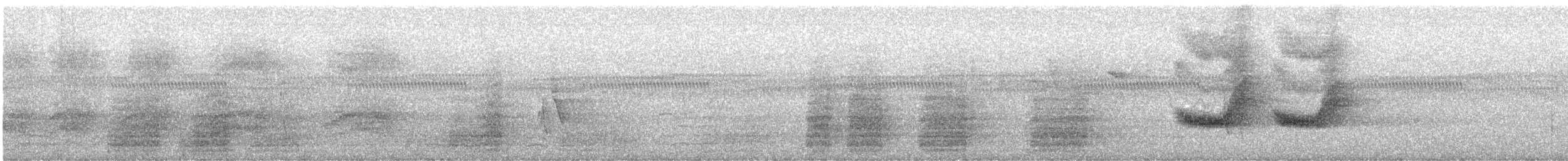 Pesquet's Parrot - ML628919246