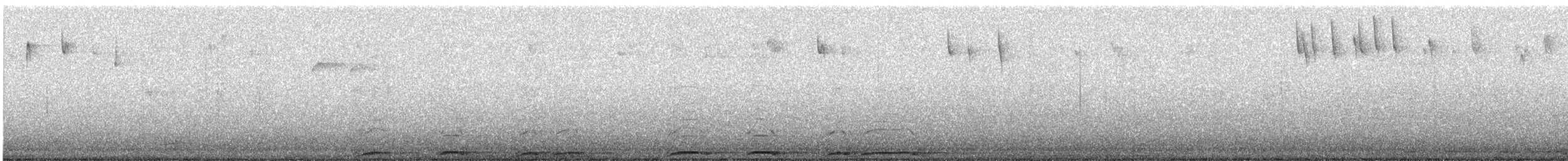 Streifenkauz - ML628938106