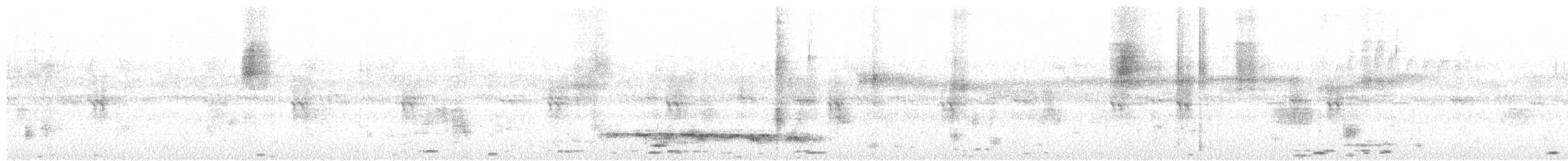 lenivka tečkovaná - ML628940545