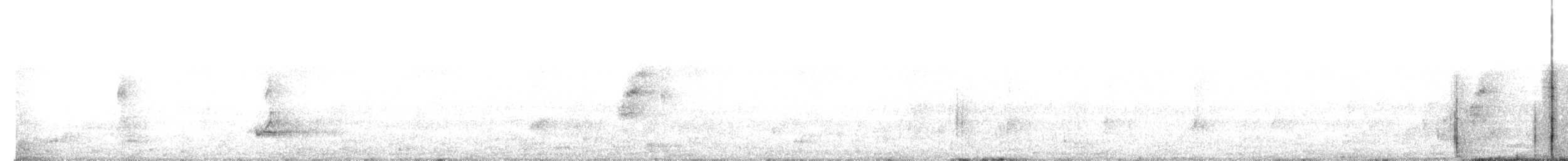 Buff-banded Rail - ML628943766