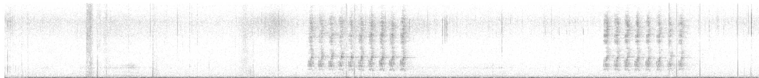 Geai de Steller (groupe diademata) - ML628943808