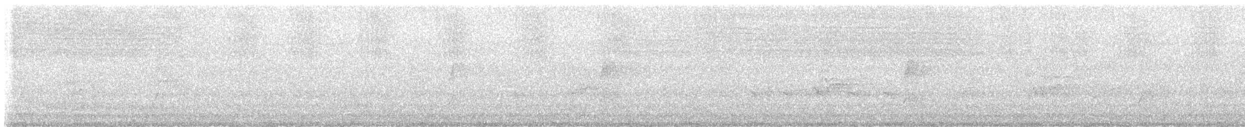 Painted Buttonquail - ML628945586