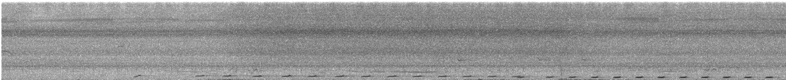 Pheasant Coucal - ML628946675