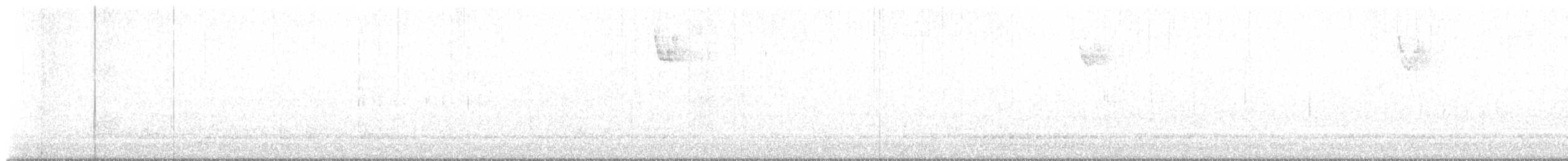 White-throated Sparrow - ML628946822