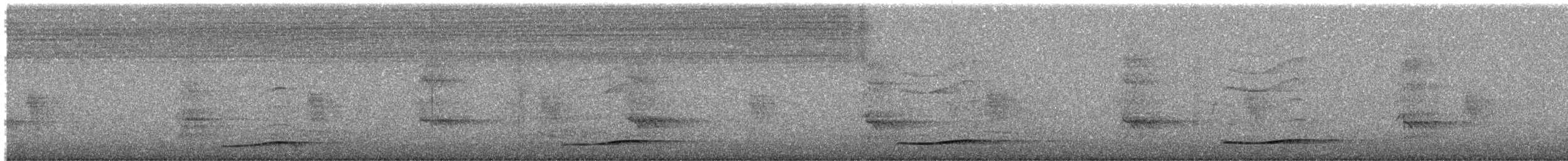 オーストラリアオニカッコウ - ML628947707