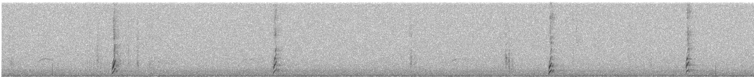 Tourco huet-huet - ML628950613