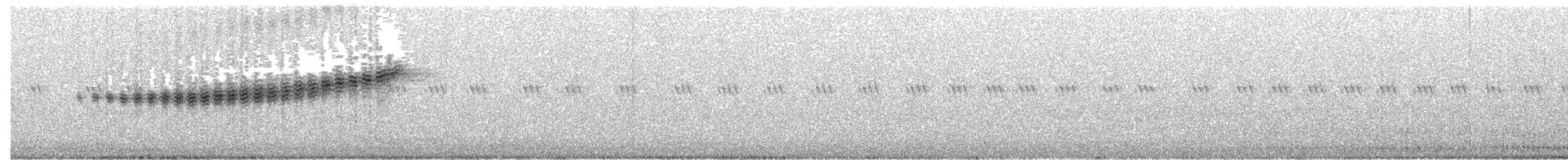 Rotmantel-Waldsänger - ML62895531