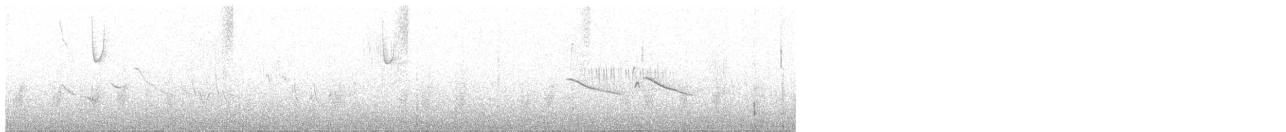 Gray-bellied Comet - ML628957504