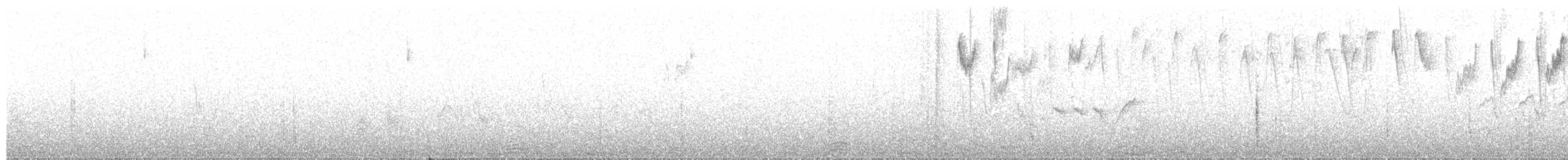 gråbukkolibri - ML628957505