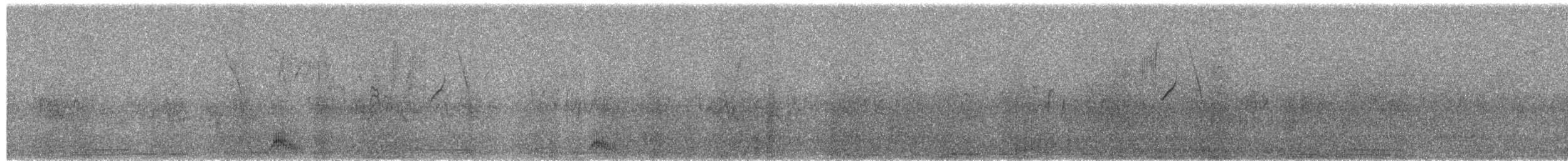 Croaking Ground Dove - ML628957867